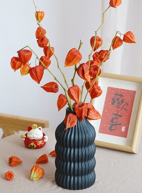 新品灯笼果干花花束干果红果客厅民宿装饰新年植物T插花天然果实