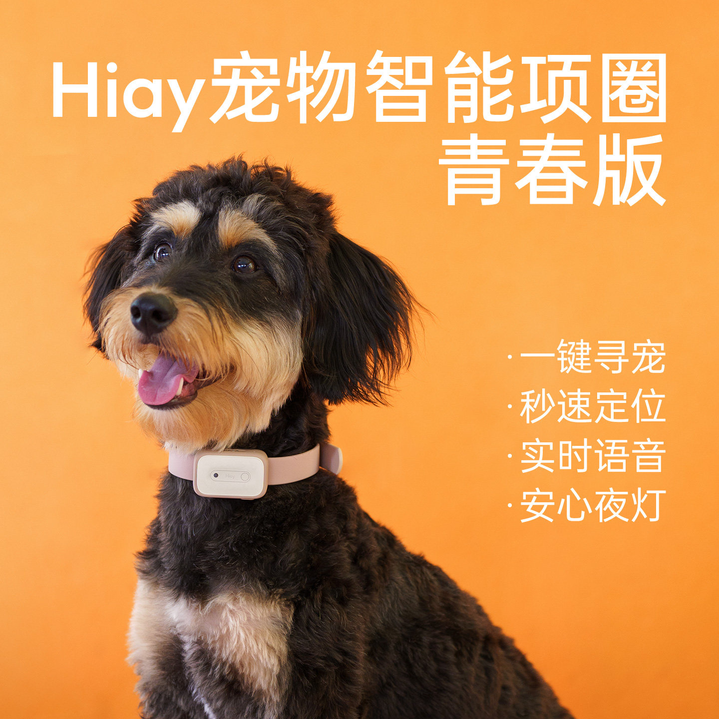 Hiay宠物智能项圈青春版