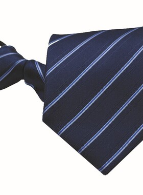 新品Classic Neck Ties Tie For MeCn Mens Necktie Business Blu
