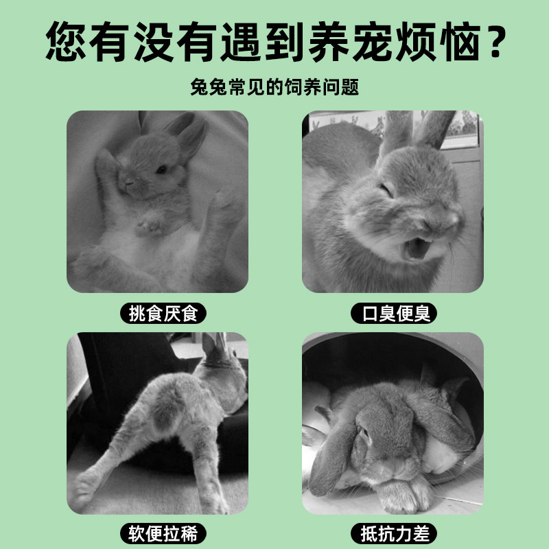 冠之亚兔粮兔子饲料兔子粮食幼兔兔粮荷兰猪饲料宠物兔子用品,淘宝优惠券,粉丝福利购,淘宝优惠卷