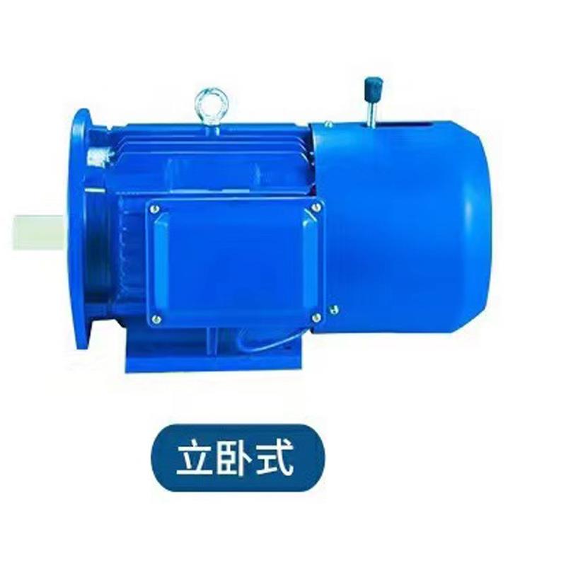 实心转子制动电机YSE100L2-4/.0KW电机厂起重机配件软启动电机 - 图2