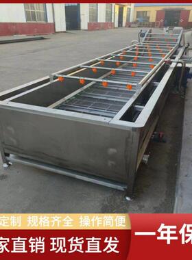 槟榔气泡清洗机  薄荷叶翻浪清洗机   莴苣片漂烫冷却线  义康牌