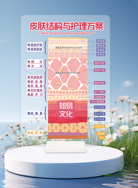 皮肤结构与护理方案亚克力展示牌美容几个面部美疗分层抗衰医患沟