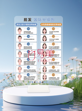 脱发国际分级图摆台亚克力摆件