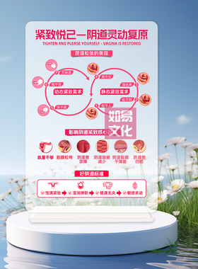 紧致悦己阴道灵动复原亚克力立牌产康店美容会所场景摆件医患沟通