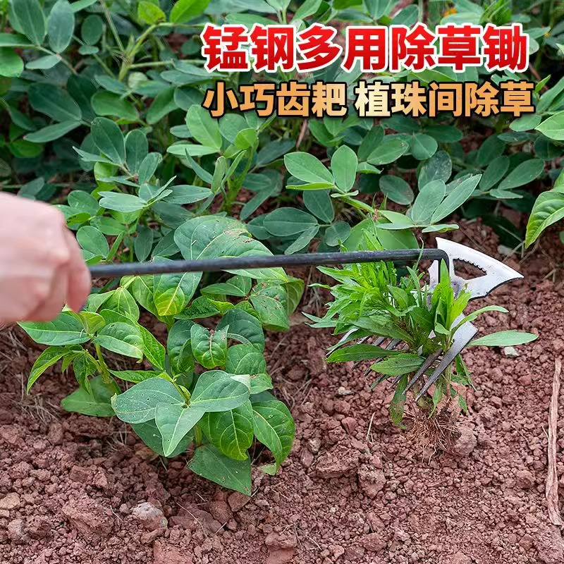 除草挖野菜神器连根拔草菜工具园艺耙子锰钢手握式松土升级版工具-图2