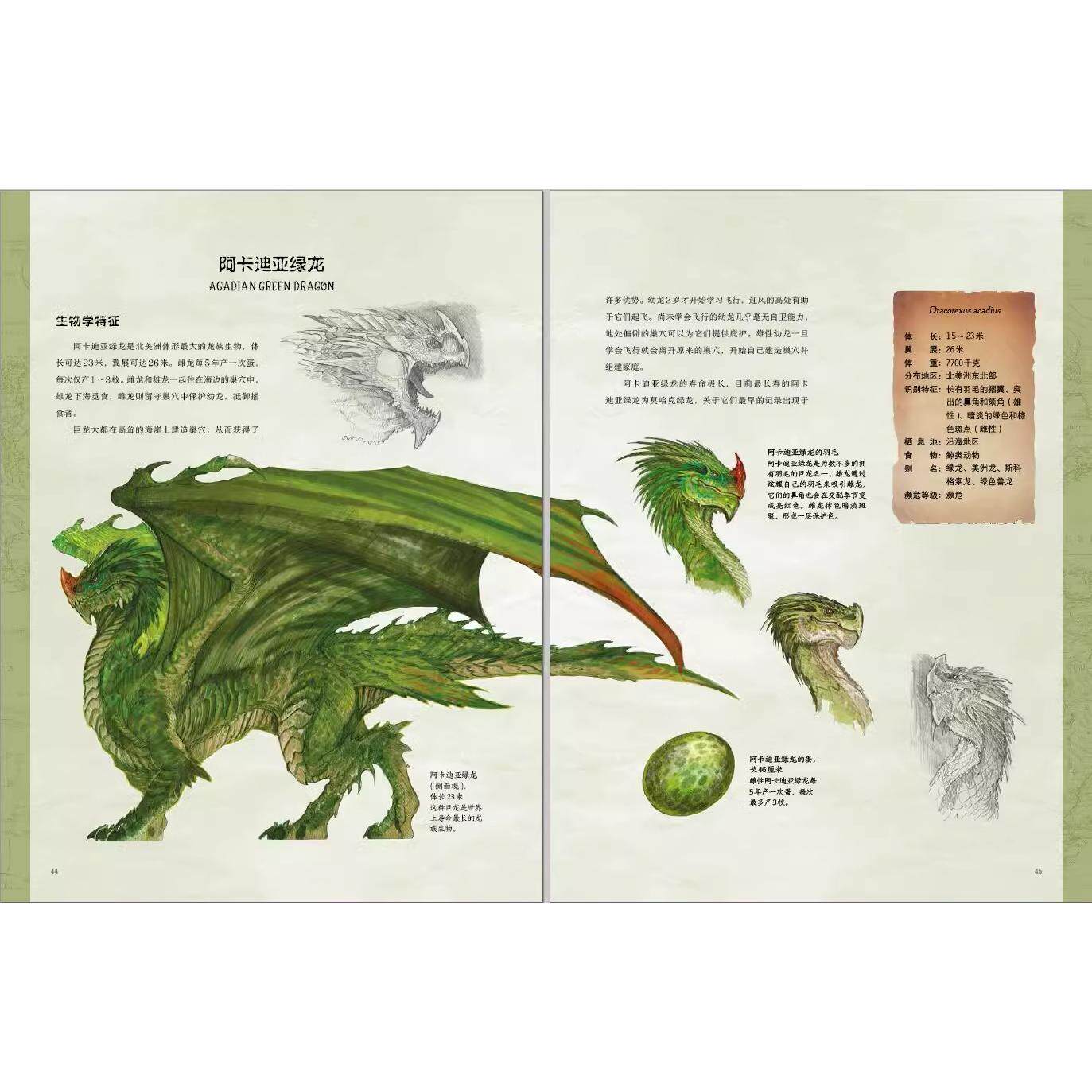 地球龙族图鉴 大开典藏精装 献给全世界的龙族爱好者的东西方龙族生物图鉴13大类93个品种的龙族收藏册书籍青少年儿童科普百科全书