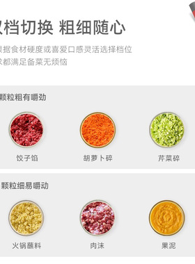 【德国】谢霆锋同款小型绞肉机
