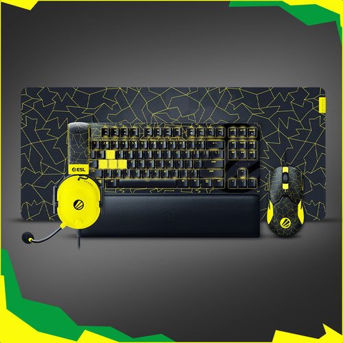 Razer雷蛇巨甲虫V2ESL特别版XXL电竞电脑游戏防滑鼠标桌面CS布垫 - 图3