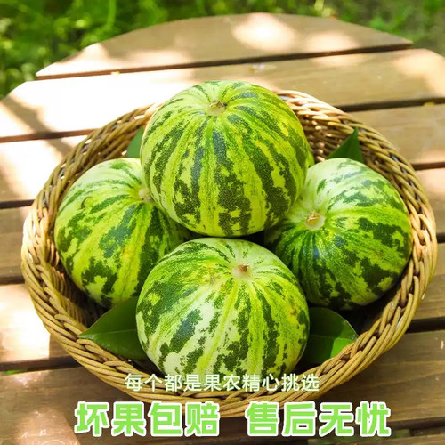 山东花美人甜瓜产地直发香甜多汁皆宜薄皮新鲜水果当季甜瓜3/5斤 - 图3