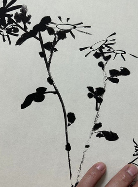 八大山人朱耷水墨国画镜心花鸟书