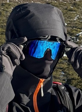 日本品质复古超大框户外运动骑行徒步登山护目镜防风墨镜显瘦太阳