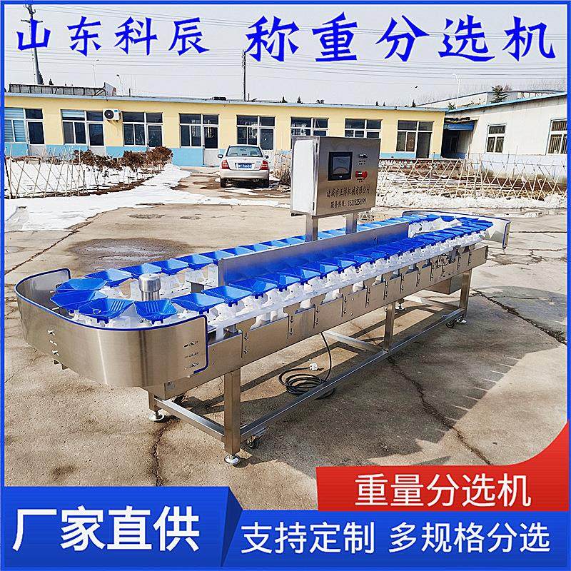 牡蛎输送线输送式重量分选机 海蛎子重量分选机 生蚝称重分选机,淘宝优惠券,粉丝福利购,淘宝优惠卷
