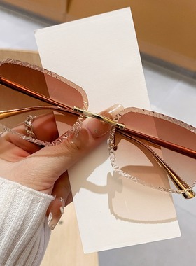 欧洲站高质量新品墨镜轻奢高级感豹子头镜腿太阳镜旅行度假防晒眼