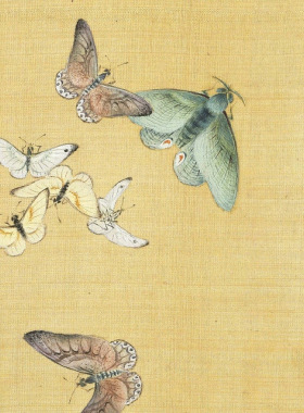 余省百蝶图传统花卉工笔草虫画