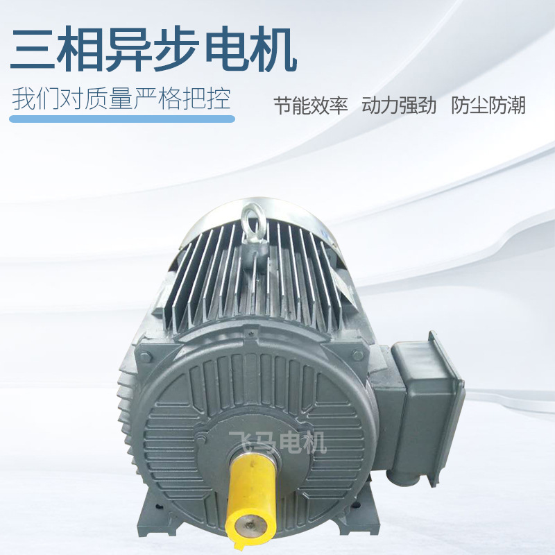 Y2YE2YE3YE4-200L-618.5W6极18.5千瓦三相异步电动机电机马达 - 图2