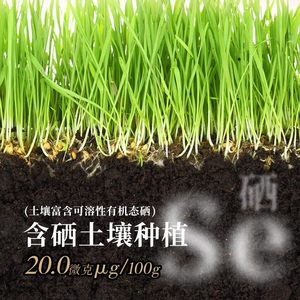 2024年京和富硒米5kg湖北京山当季新米长粒软香南方农家大米10斤