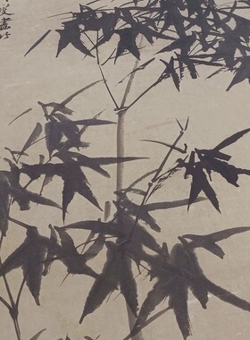 清郑板桥墨竹图立轴名家竹子画