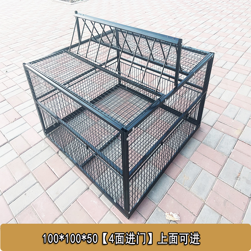 天落笼只进不出鸽子笼加密鸽子活络门撞门笼房顶自动门鸽子神器