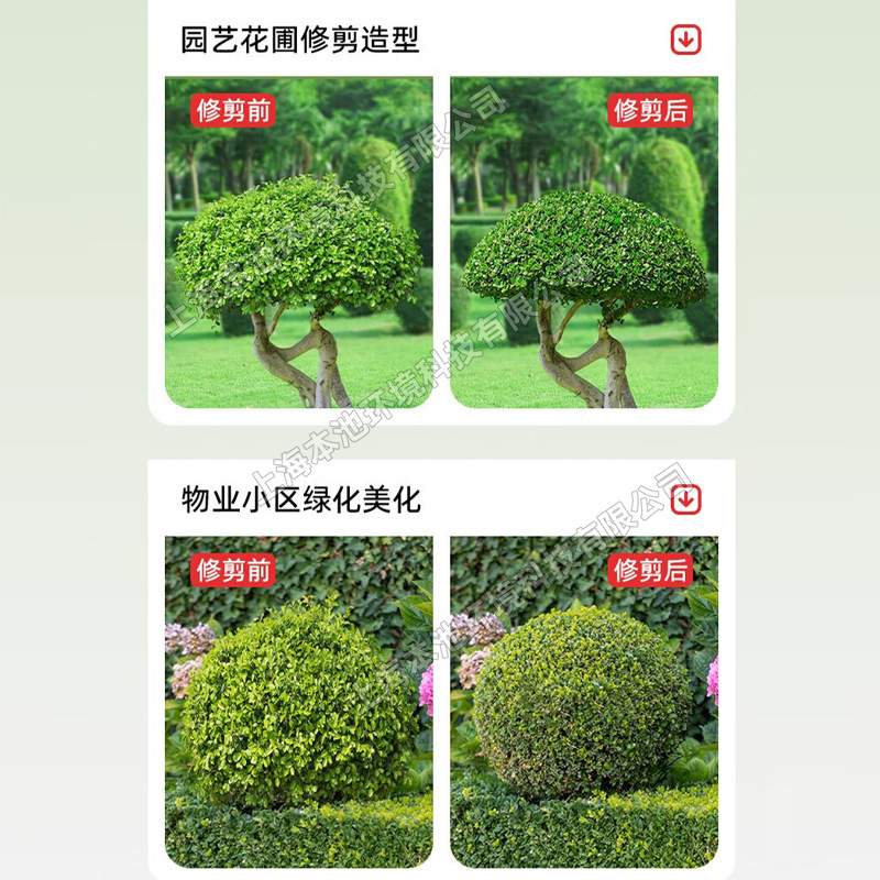 凯时科技单刃绿篱机A8锂电修剪机茶树叶修枝剪枝机园艺造型绿篱剪 - 图1