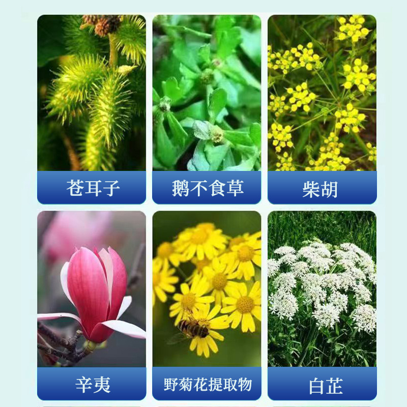 白云山苍耳子鼻炎油鹅不食草鼻通喷雾剂鼻堵塞干痒正品官方旗舰店