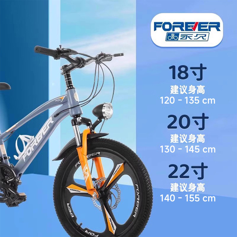 永久儿童自行车8一12中大童10岁以上青少年男孩女孩小学生山地车,淘宝优惠券,粉丝福利购,淘宝优惠卷