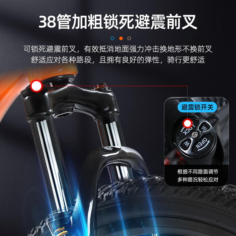 凤凰软尾山地车自行车男款成人女款单车青少年学生变速双减震赛车 - 图2