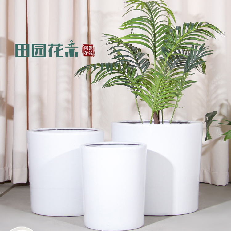 陶瓷大花盆落地兰花天堂鸟绿植种树盆大口径绿植盆花卉简约创意 - 图2