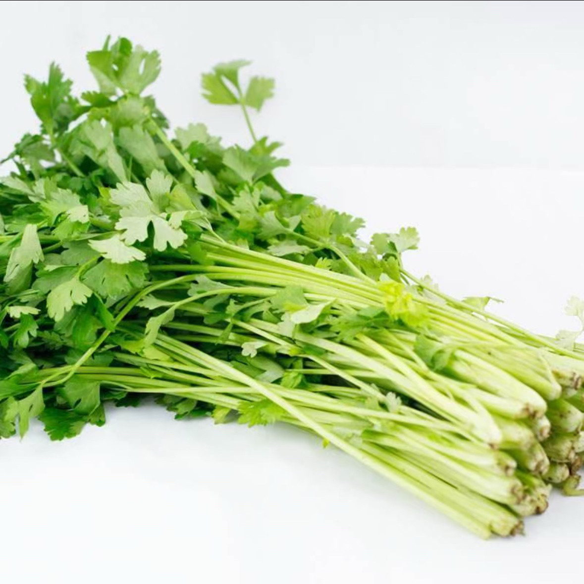 【蔬鲜记】新鲜水芹菜应季酒店食材水芹小叶农家野菜500克,淘宝优惠券,粉丝福利购,淘宝优惠卷