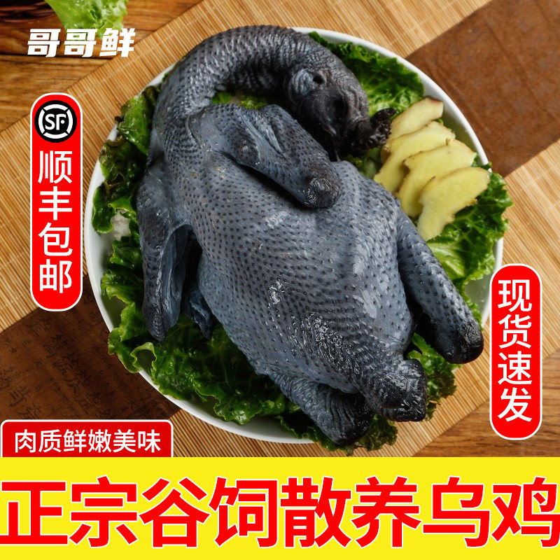 哥哥鲜滋补人参乌骨鸡礼盒装整鸡制品营养滋补品年货节乌鸡大礼包,淘宝优惠券,粉丝福利购,淘宝优惠卷