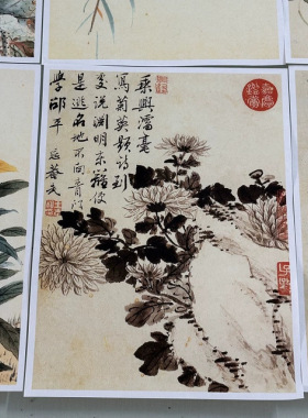 王武花卉图册复古书画真迹宣纸高