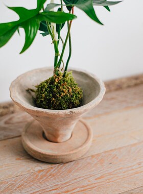 此莳 个性复古手工斗笠型陶盆带托盘苔藓球花盆