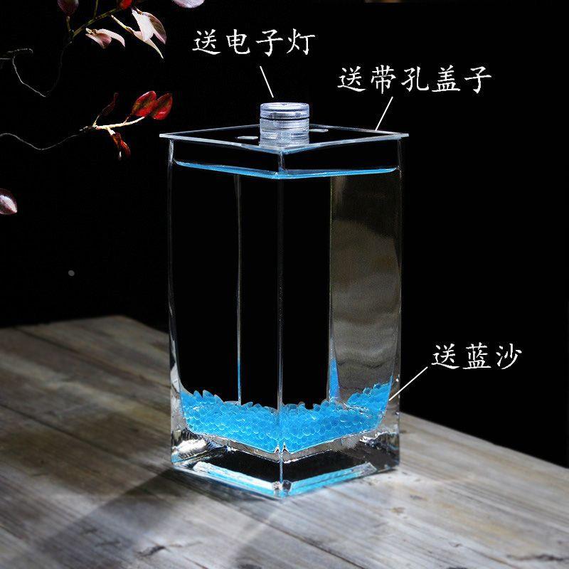方缸加厚方形桌面玻璃鱼缸水培花瓶长方形一体高透亮斗鱼观赏性 - 图2