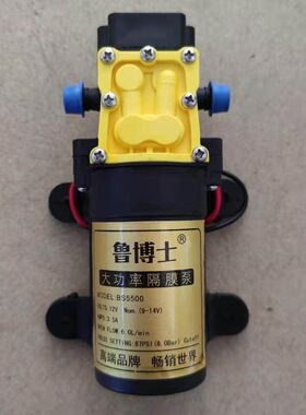 12V隔膜微型小泵农用电动喷雾器高压洗车泵电动喷雾器回流电机