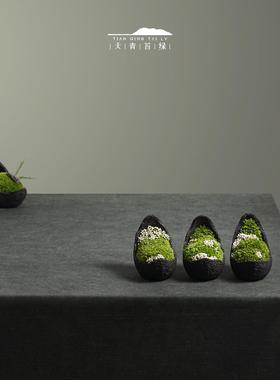天青苔绿 新中式永生苔藓微景观 样板间家居儿童房桌面迷你小摆件