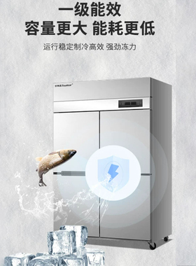 荣事达商用冰箱四门冷柜双开门立式冰柜速冻保鲜三六门冷冻冷藏柜