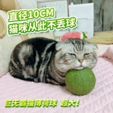 Cat Toys Catnip Super Big Cat Самосексуальное облегчение и облизывание волос с волосами, устойчивыми к кусанию и очистке зубов, чтобы потреблять физическую силу, чтобы дразнить шарики кошек