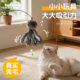 Baipetdao Feather Cat Flirting Stick Self-Entertainment Hunting Resistant to Bite