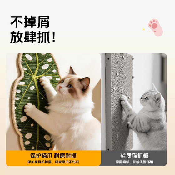 Baipetdao cat scratching board with leaves that are scratch-resistant and do not shed crumbs