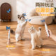 Baipet Island Electric Rotating Cat Funny Stick Self-Entertainment Charging