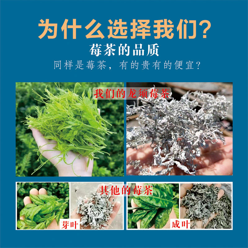 张家界莓茶龙须芽尖正宗莓茶显齿蛇葡萄叶品质罐装端午节礼物包邮