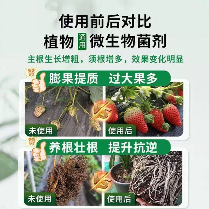 高效速溶通用型长效肥料花卉瓜果类蔬菜类缓释高效复合通用肥,淘宝优惠券,粉丝福利购,淘宝优惠卷
