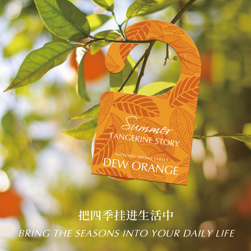【直播间专享】Deworange露橘悬挂香薰片车载香片,淘宝优惠券,粉丝福利购,淘宝优惠卷