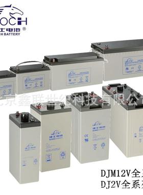 理士LEOCH蓄电池6-EVF-60/12V-60AH老年代步车电瓶