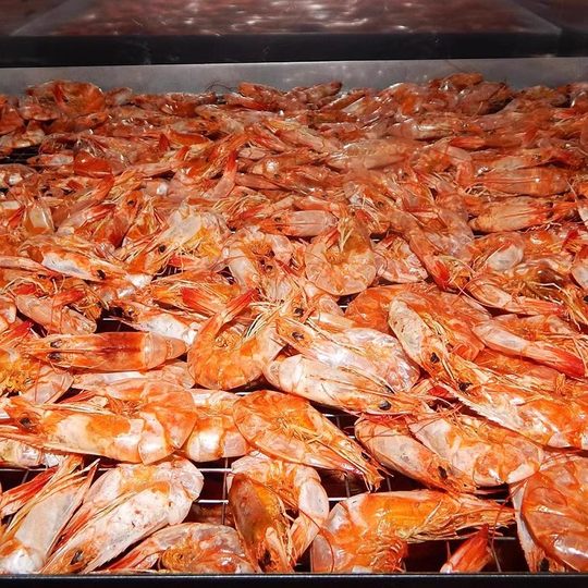 潮汕虾干 零食烤虾干即食特大号对虾干 干货干虾脆虾食品孕妇零食