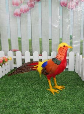 彷真红腹锦鸡模型羽毛动物摆件藏雪鸡野山鸡装饰摄影道具鸟工艺品