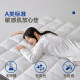 Dream Lily Langyiyun Class A mattress protector