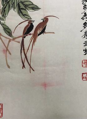 齐白石国画真迹多寿图现代名家