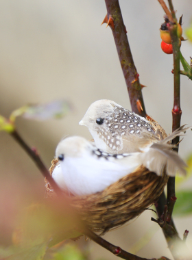 草编田园风仿真小鸟窝装饰饰品