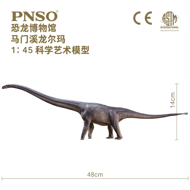 PNSO马门溪龙尔玛恐龙博物馆1比45科学艺术模型 - 图0